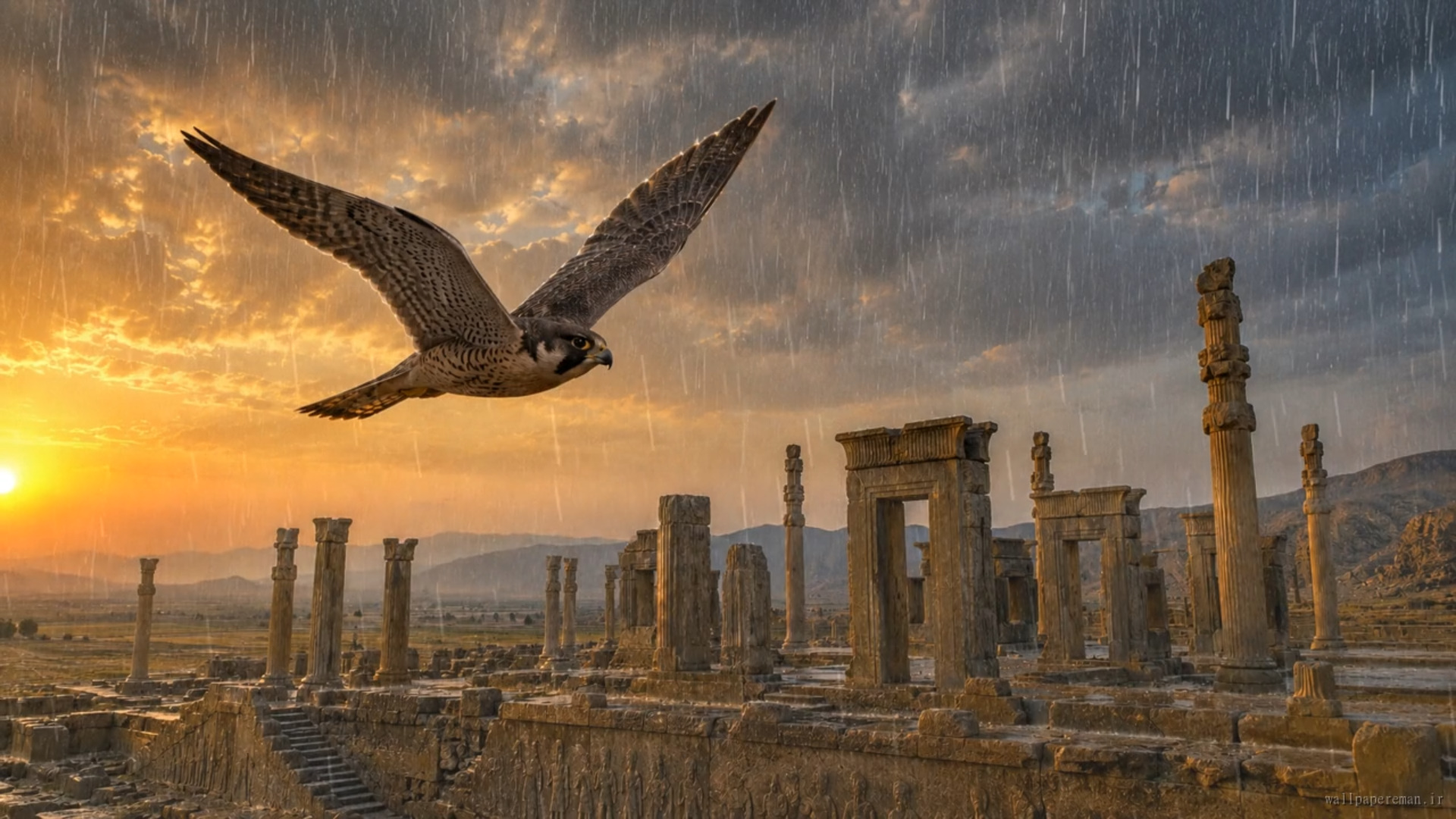 falcon-in-persepolis