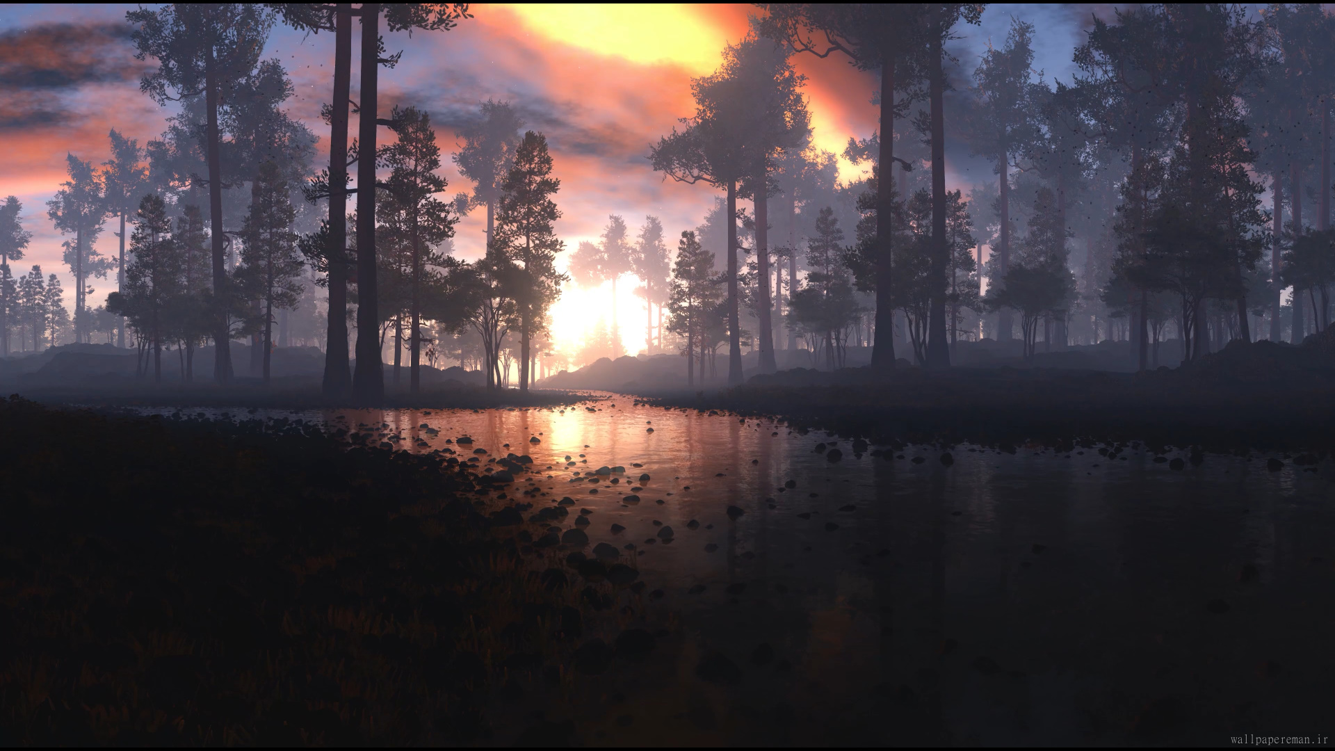 sunrise-jungle-4k